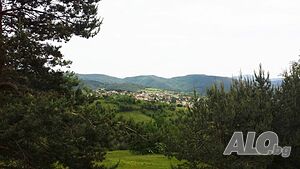 image_7