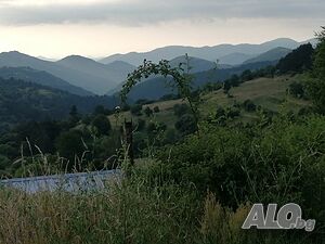 image_6