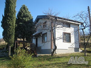 image_2