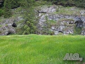 image_23