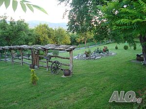 image_25
