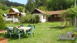 image_3