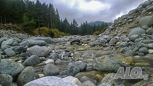image_10
