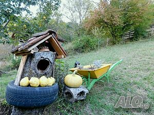 image_33