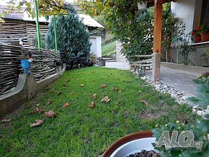 image_35