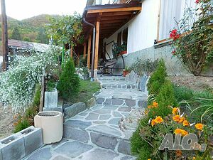 image_36