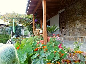image_26