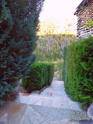 image_38