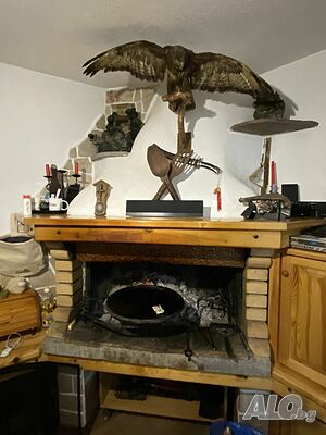 image_44