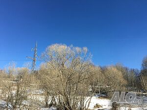 image_8