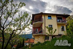 image_29