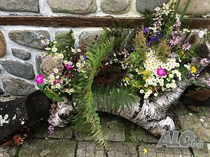 image_26