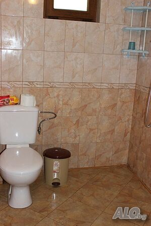 image_11
