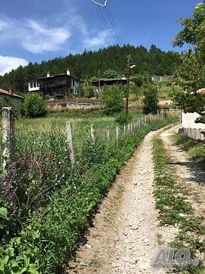 image_2