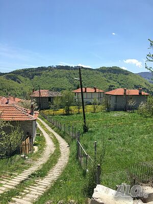 image_14