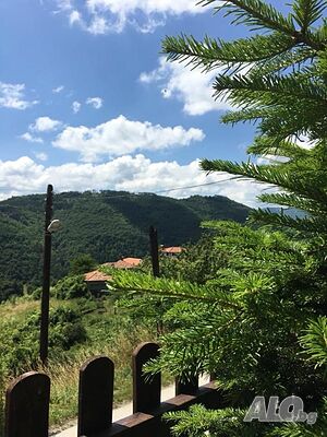 image_17