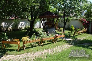 image_11