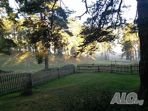 image_8