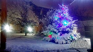 image_11