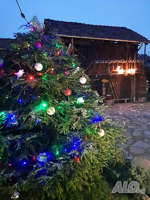 image_39