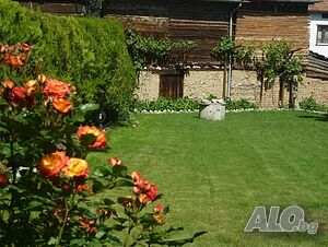 image_41