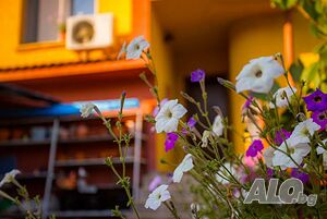 image_27