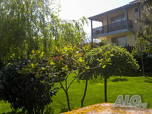 image_9