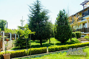 image_26
