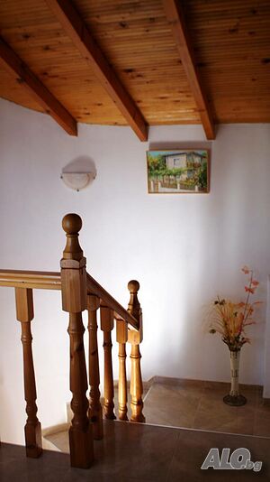 image_41
