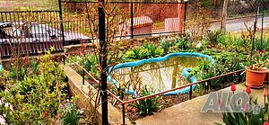 image_27