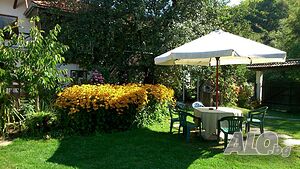 image_25