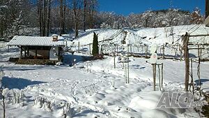 image_27