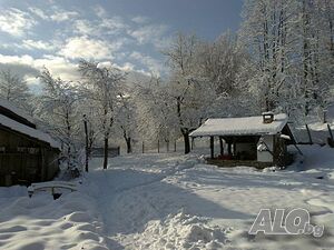 image_28