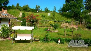 image_30