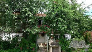 image_31