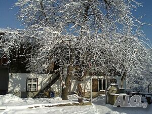 image_33