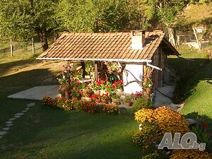 image_34