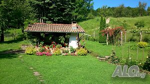 image_24