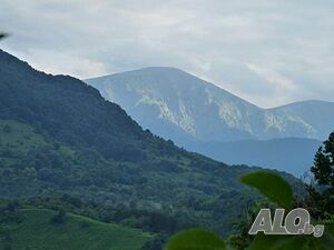 image_16