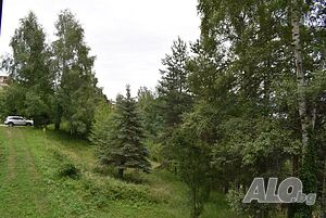 image_12