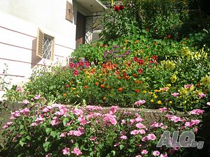 image_10