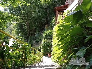 image_11