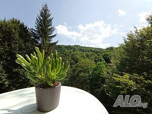 image_16