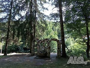 image_19