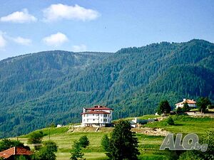 Къщи за гости Вила Орлово гнездо