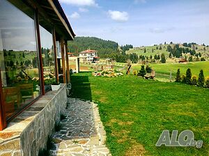 image_6