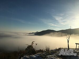 image_16