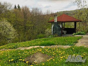 image_6