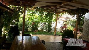 image_6