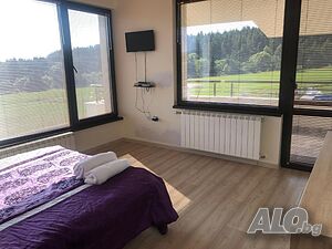 image_29